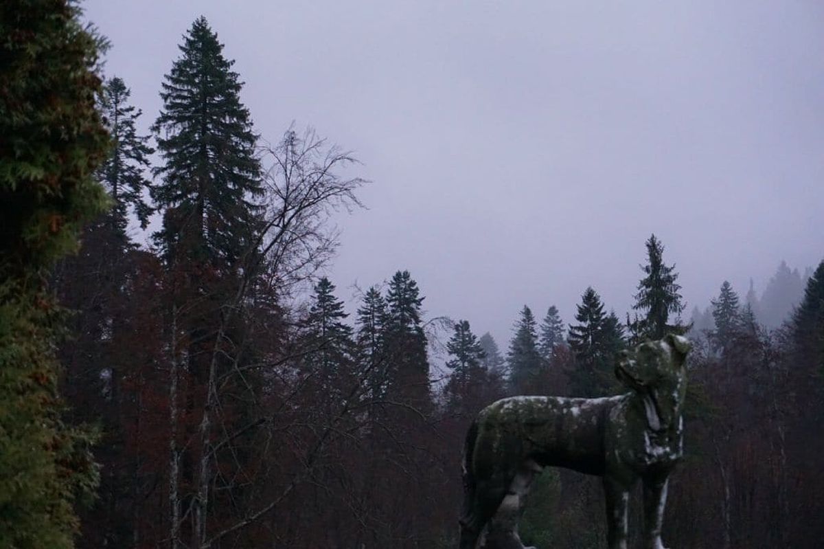 A statue in the forest during winter time