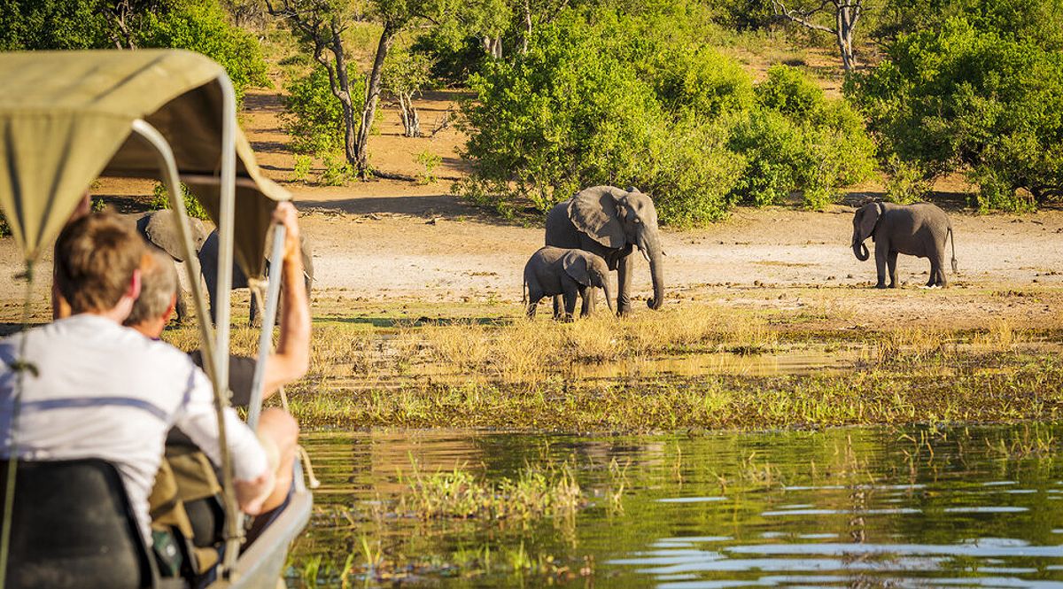 A tranquil scene in the Okavango Delta featuring mokoro canoes