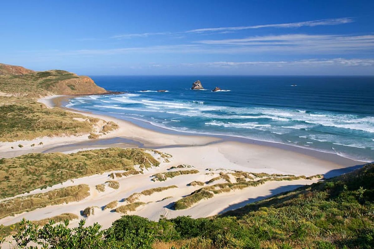 Beach scene in New Zealand during summer