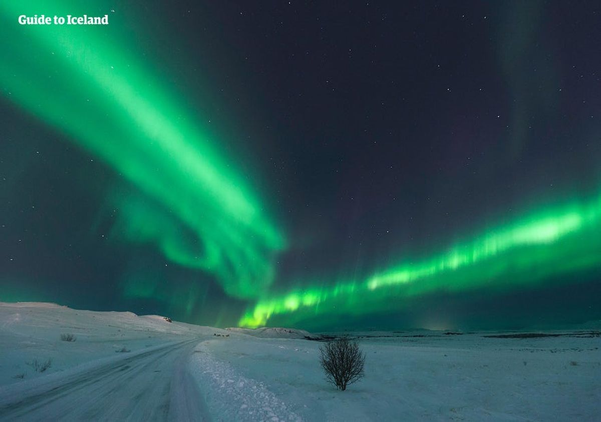 Clear skies for Northern Lights