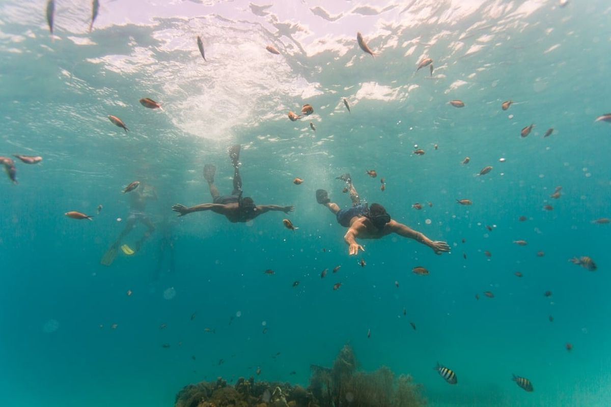 People snorkeling in Barbados