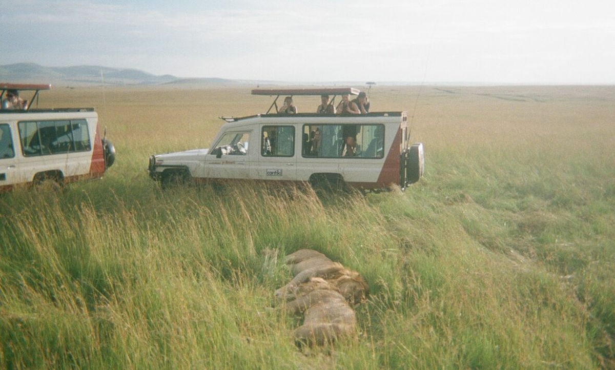 Safari in Kenya