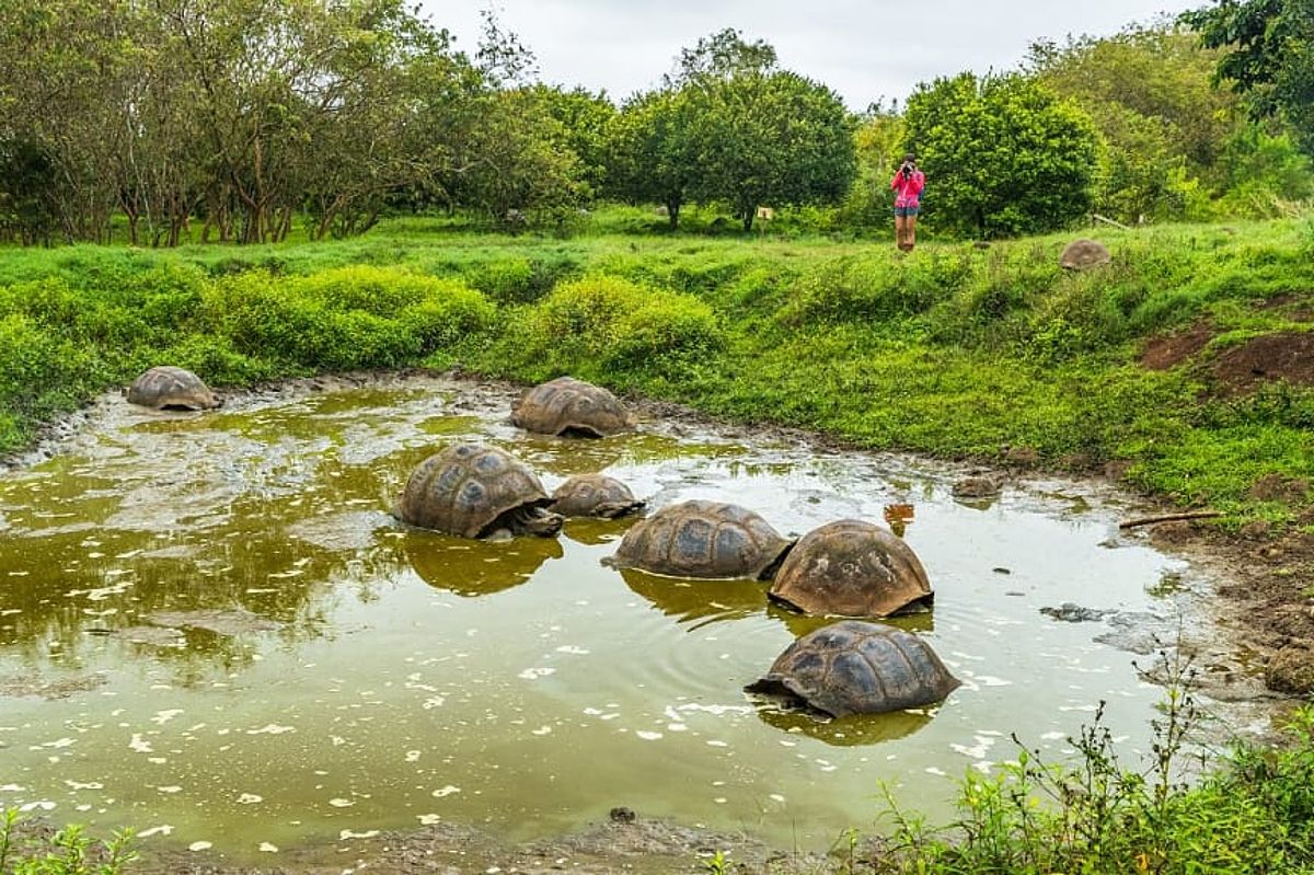 Santa Cruz island in the Galapagos, Ecuador