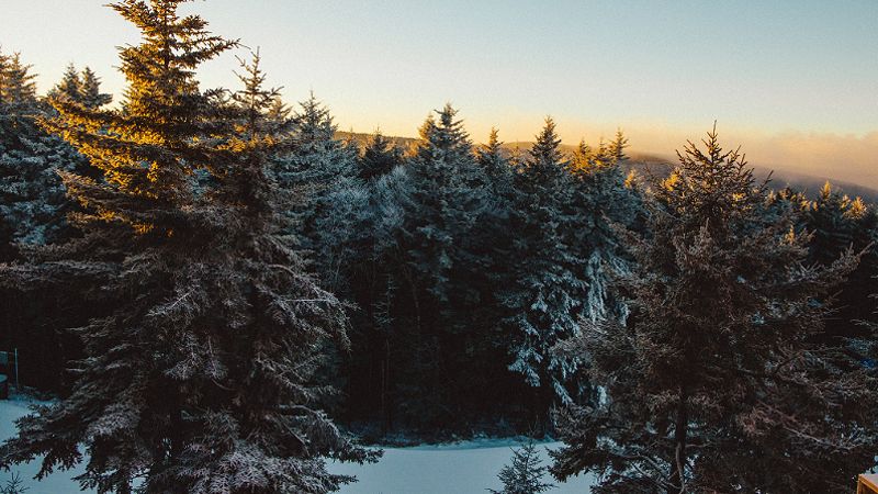 Snowshoeing in West Virginia