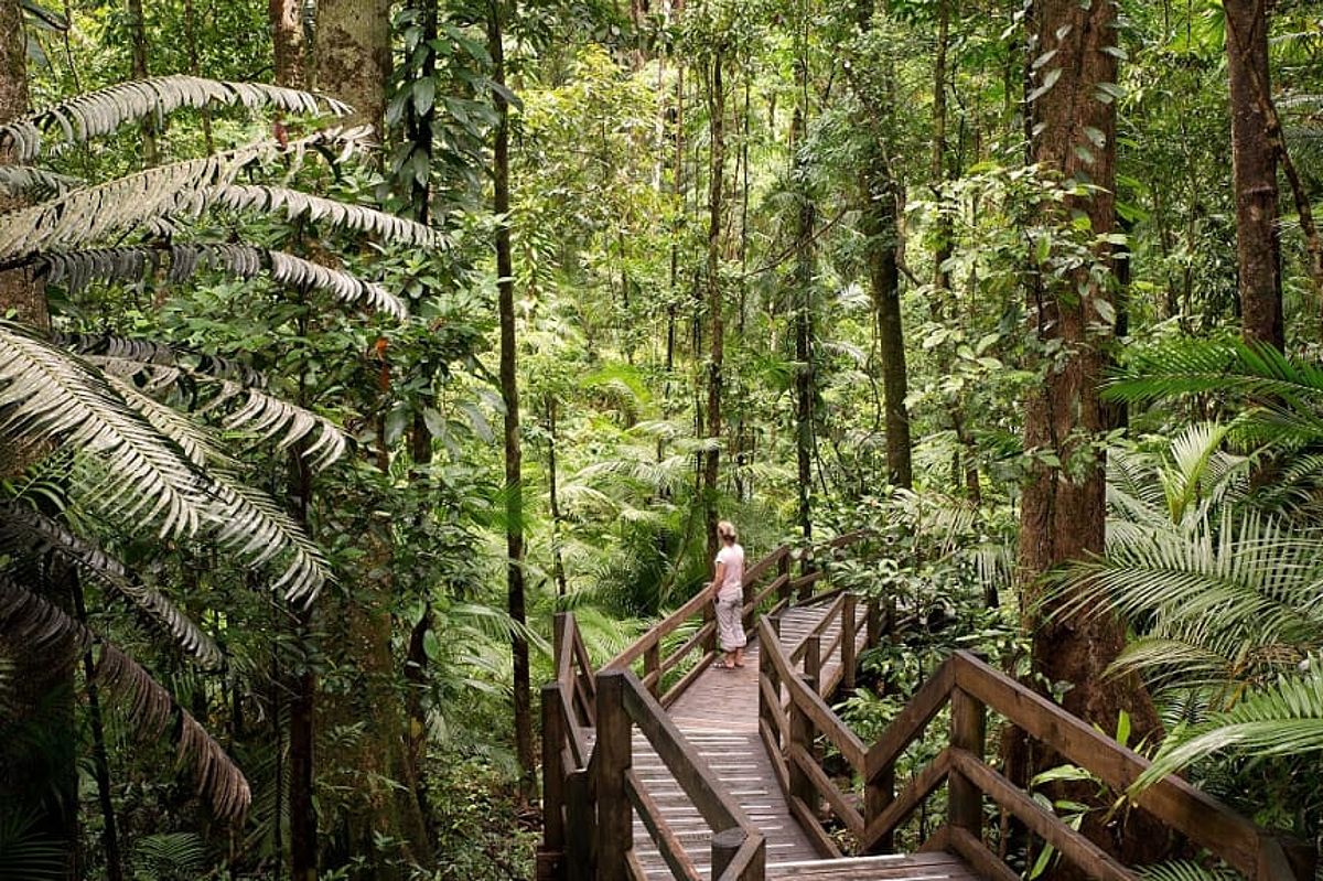 Tropical landscape in Queensland, Australia