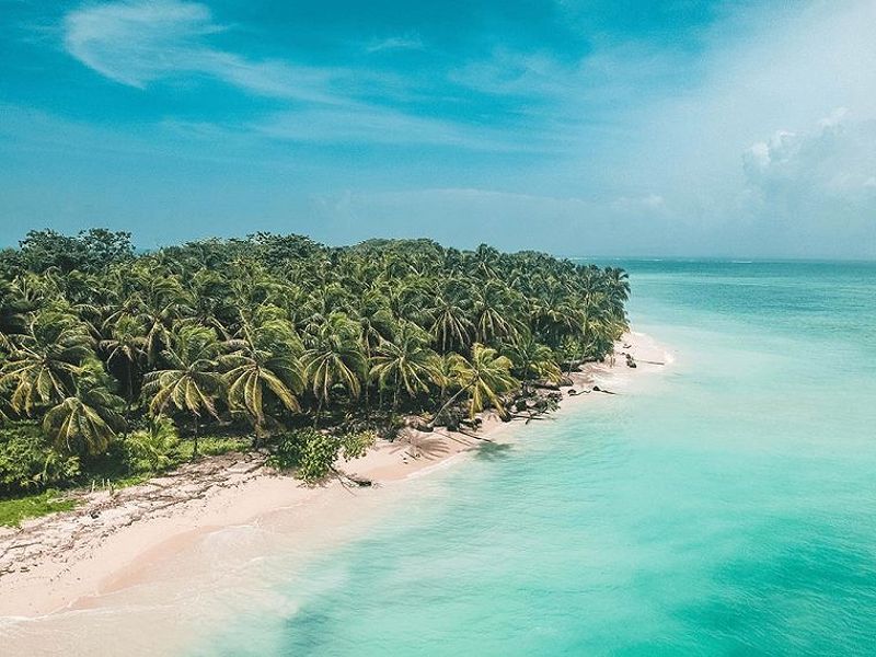 View of palm trees lining an untouched white sand beach in the San Blas Islands