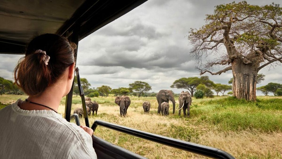 Woman on safari in Kenya